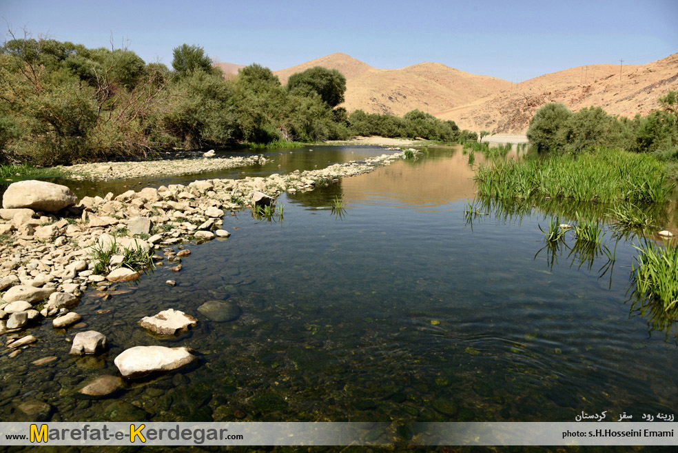 زرینه رود